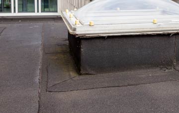 disadvantages of Bidwell flat roofs