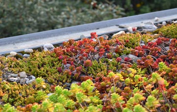 the cost of Bidwell green roof installation