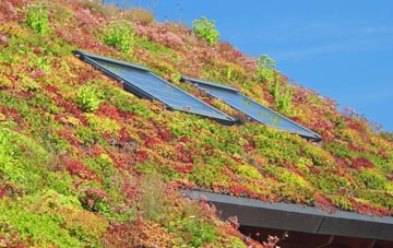 Bidwell living roof systems