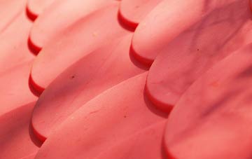 Bidwell plastic roof costs