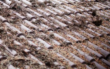 Bidwell roof cleaning companies