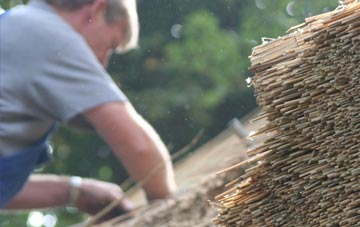 professional Bidwell thatchers