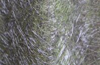 Bidwell fibreglass roof work